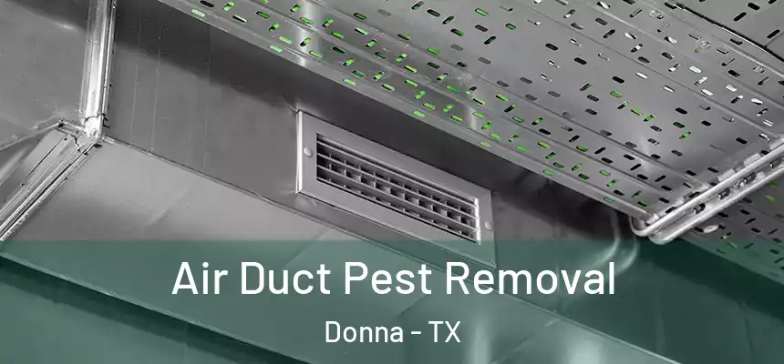  Air Duct Pest Removal Donna - TX