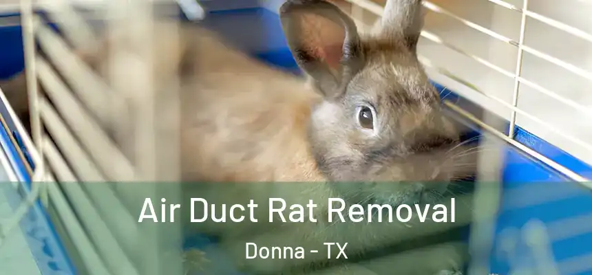  Air Duct Rat Removal Donna - TX