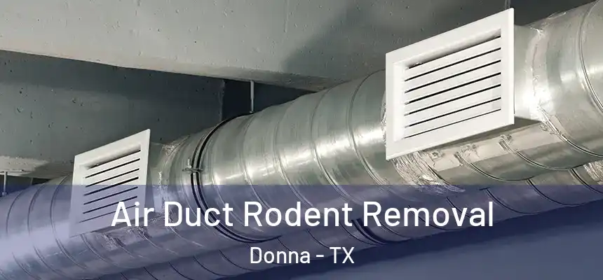  Air Duct Rodent Removal Donna - TX