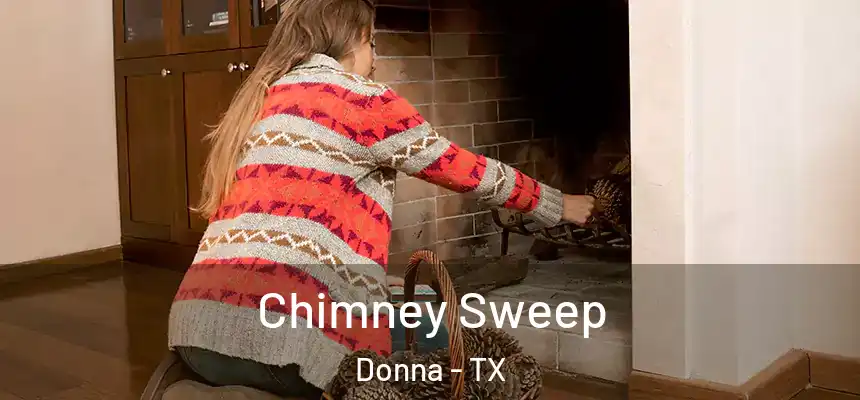  Chimney Sweep Donna - TX
