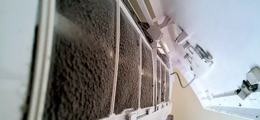 Preventive Air Duct Bacteria Removal in Donna