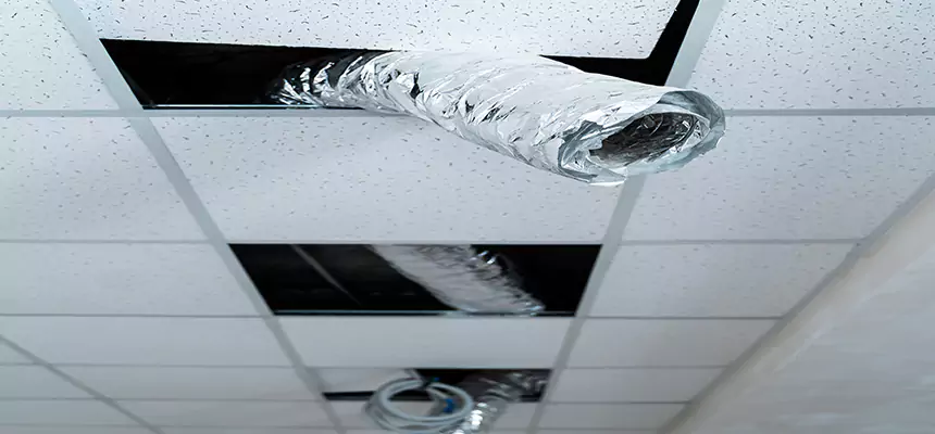 Affordable HVAC Sanitizing After Pest Removal in Donna