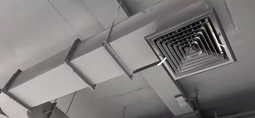 Restorative Allergy Relief Vent Cleaning – Coil, Blower & Housing Detail in Donna