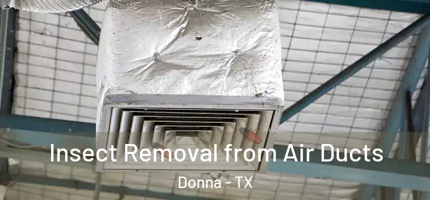  Insect Removal from Air Ducts Donna - TX