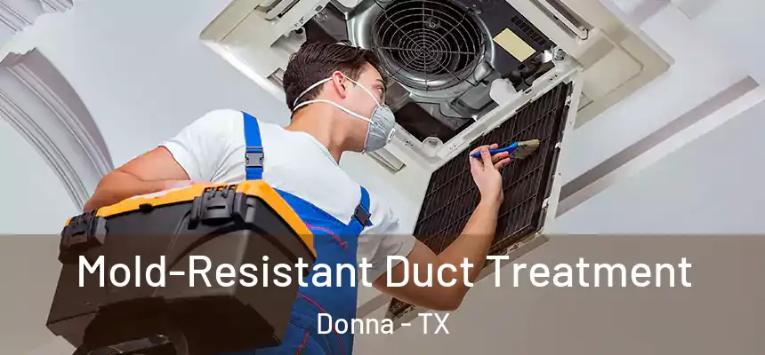  Mold-Resistant Duct Treatment Donna - TX
