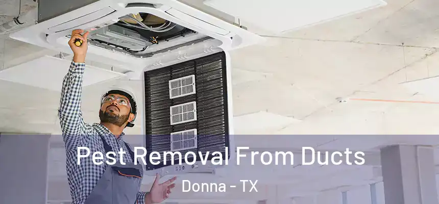  Pest Removal From Ducts Donna - TX