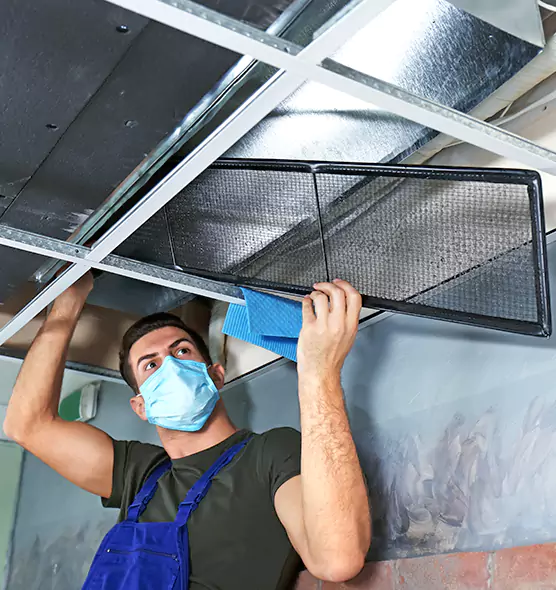 About Air Duct Bacteria Removal in Donna