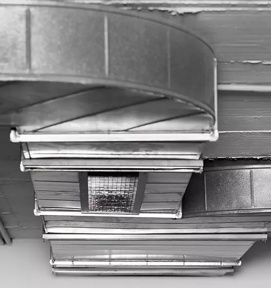 Professional Air Duct Pet Hair Removal in Donna, TX