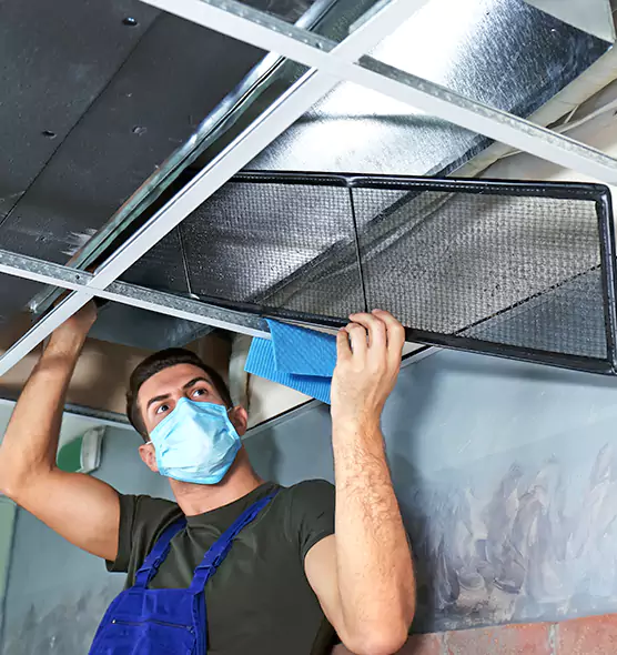 Professional Air Duct Pollen Cleaning in Donna, TX