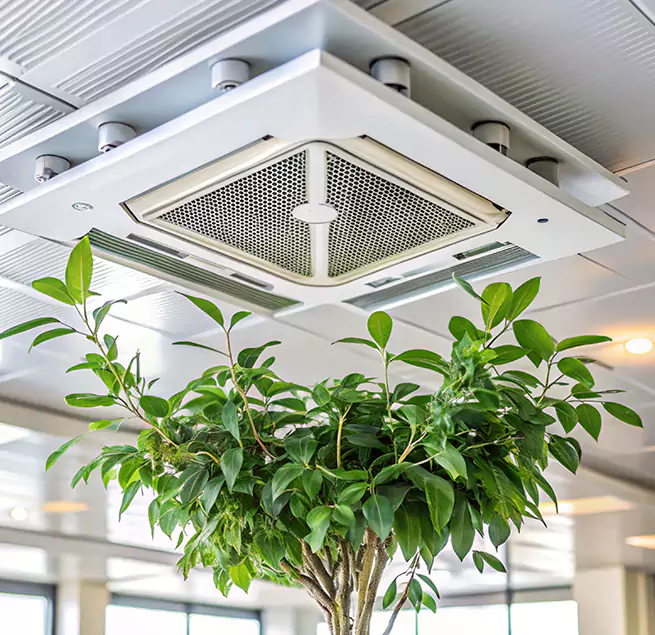 Why Homeowners & Businesses Trust Us in Donna, TX