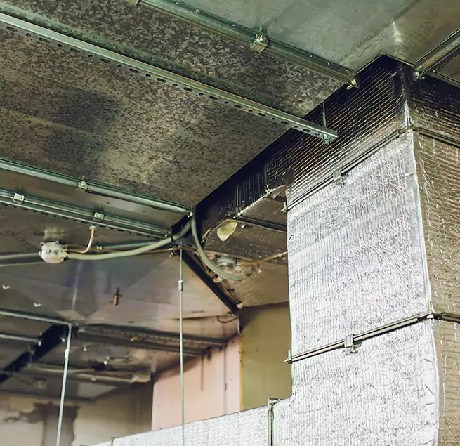 Why Homeowners & Businesses Trust Us in Donna, TX?